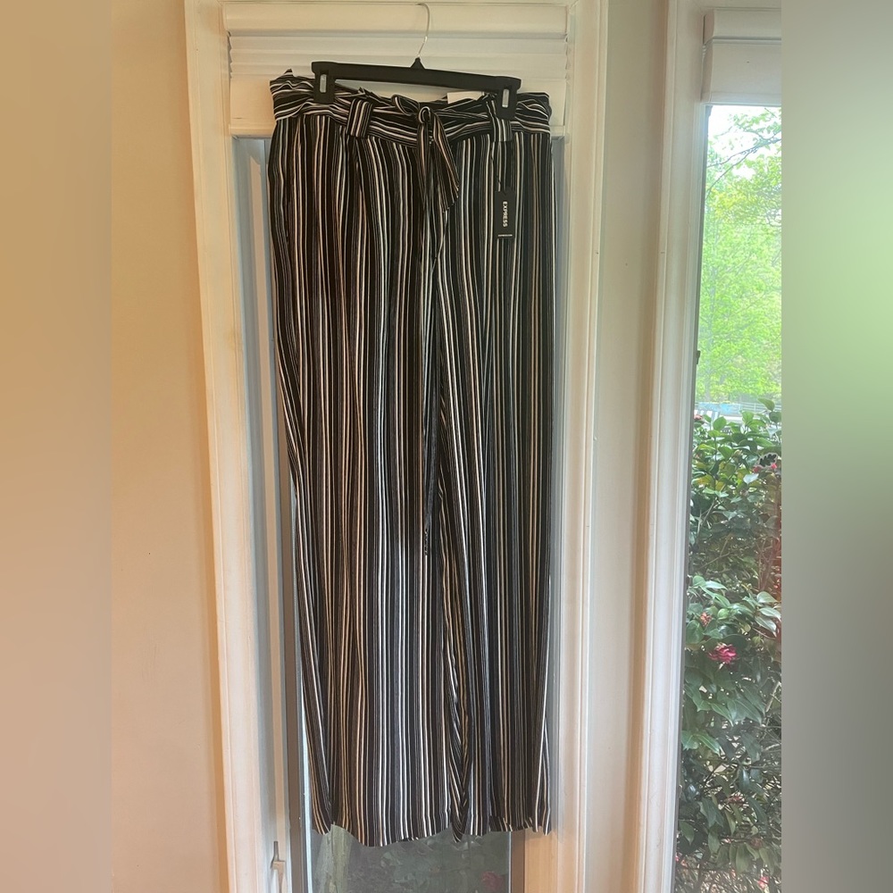 Brand new express pants. Light weight